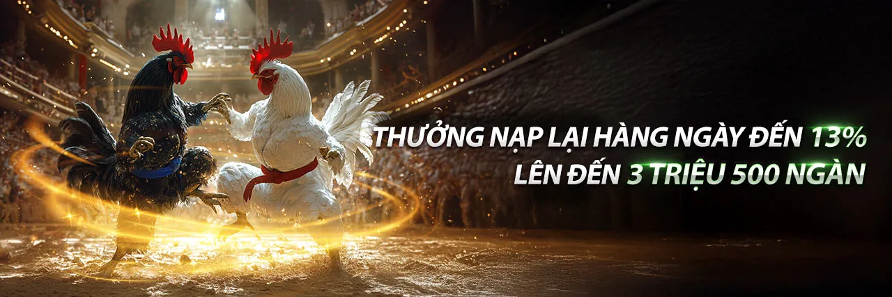 Đá Gà Mạng Trực Tiếp Singapore K9K99